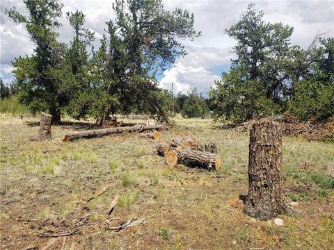 188 Stellar Jay Way, Fairplay, CO 80440 photo 10
