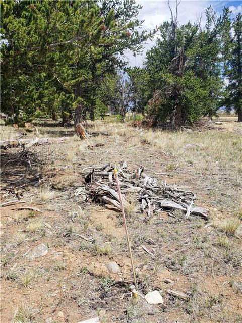 188 Stellar Jay Way, Fairplay, CO 80440 photo 12