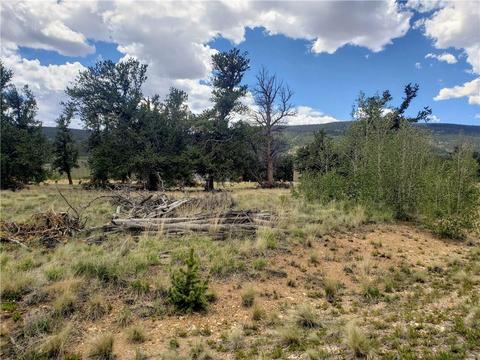 188 Stellar Jay Way, Fairplay, CO 80440 photo 3