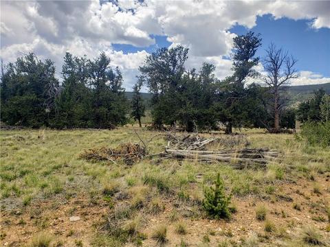 188 Stellar Jay Way, Fairplay, CO 80440 photo 17