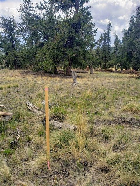 188 Stellar Jay Way, Fairplay, CO 80440 photo 6