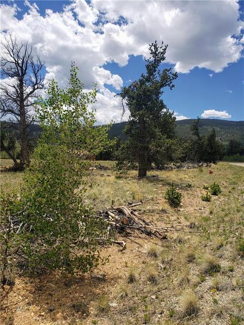 188 Stellar Jay Way, Fairplay, CO 80440 photo 15