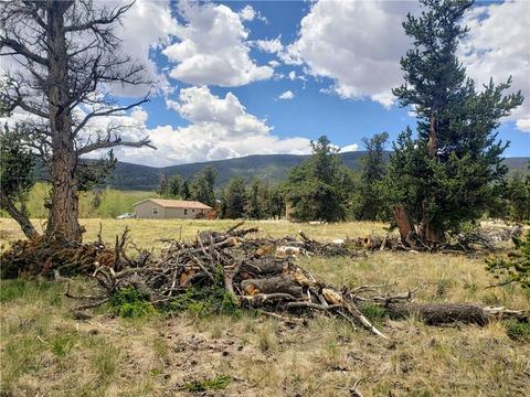 188 Stellar Jay Way, Fairplay, CO 80440 photo 1