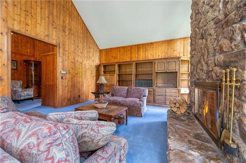 182 Penstemon Rd, Dillon, CO 80435 photo 17