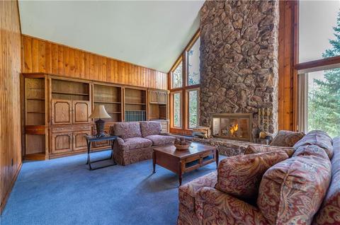 182 Penstemon Rd, Dillon, CO 80435 photo 13