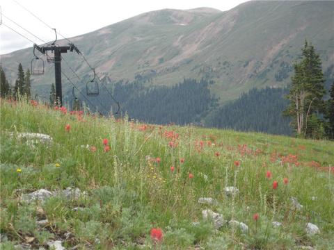 26 Laredo Dr #26, Silverthorne, CO 80498 photo 35