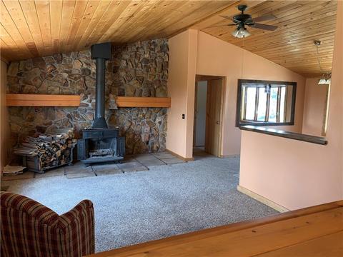 60 Pine Dr, Fairplay, CO 80440 photo 14
