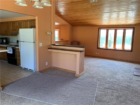 60 Pine Dr, Fairplay, CO 80440 photo 8