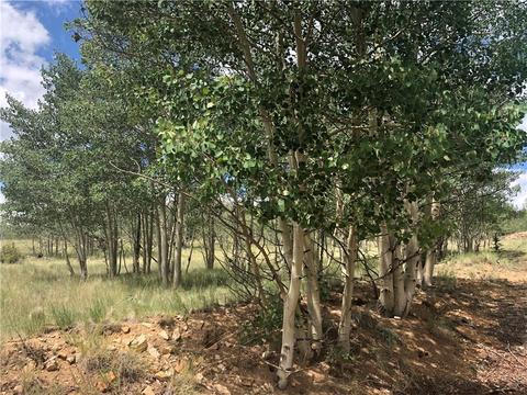45 Pueblo Dr, Como, CO 80456 photo 2
