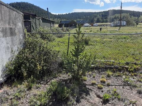 317 County Road 33, Como, CO 80432 photo 22