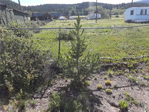317 County Road 33, Como, CO 80432 photo 20