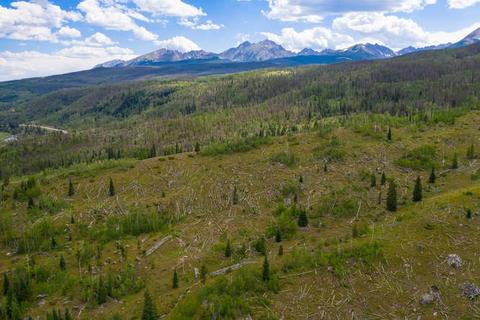 256 Blue Ridge Rd, Silverthorne, CO 80498 photo 35