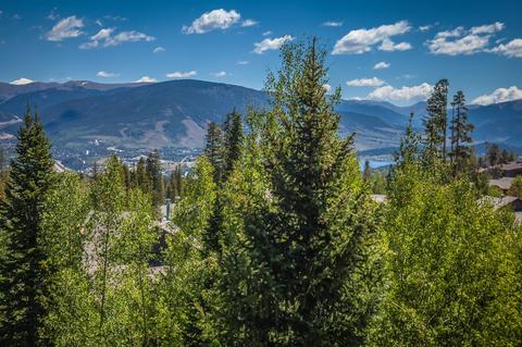 93 Bashore Ct, Silverthorne, CO 80498 photo 5