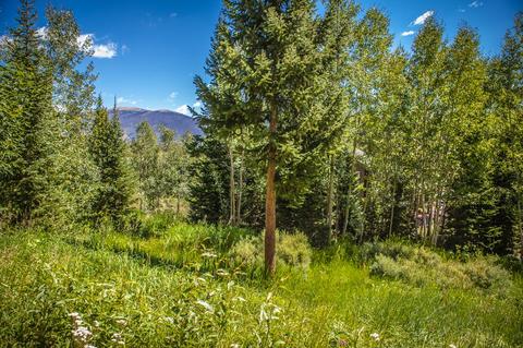 93 Bashore Ct, Silverthorne, CO 80498 photo 32
