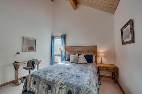 182 N Side Cir, Silverthorne, CO 80498 photo 23