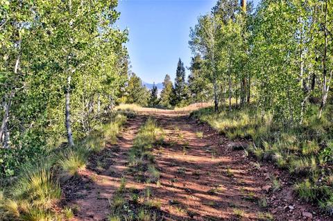 218 Starling Way, Como, CO 80432 photo 2