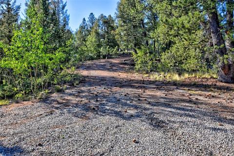 218 Starling Way, Como, CO 80432 photo 13