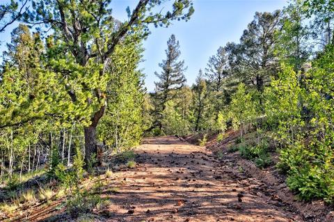 218 Starling Way, Como, CO 80432 photo 6