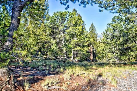 218 Starling Way, Como, CO 80432 photo 11
