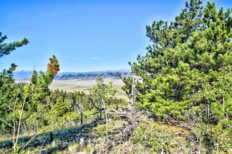 218 Starling Way, Como, CO 80432 photo 4