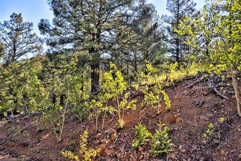 218 Starling Way, Como, CO 80432 photo 7