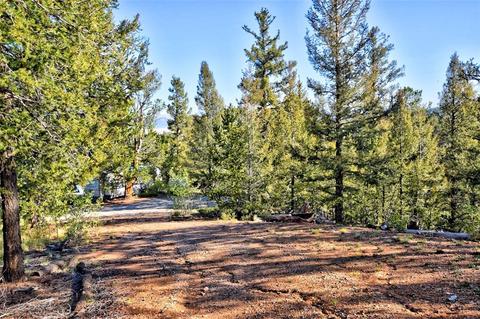 218 Starling Way, Como, CO 80432 photo 8