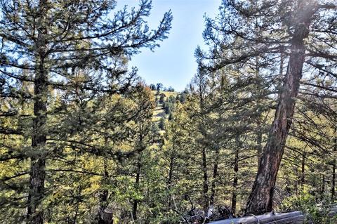 218 Starling Way, Como, CO 80432 photo 9