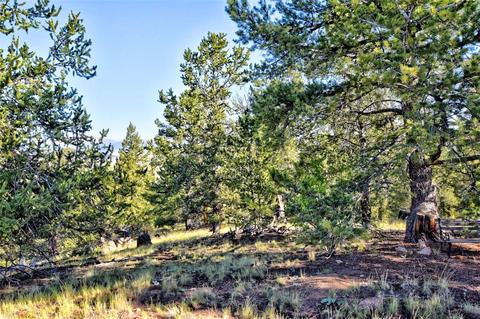 218 Starling Way, Como, CO 80432 photo 1