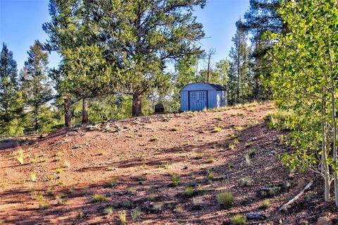 218 Starling Way, Como, CO 80432 photo 3