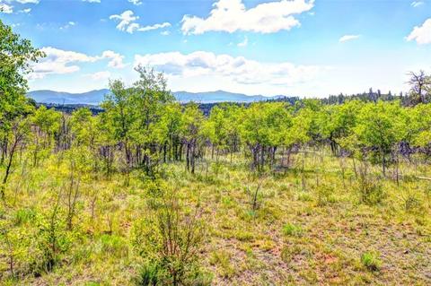 28 Loon Ln, Como, CO 80432 photo 2