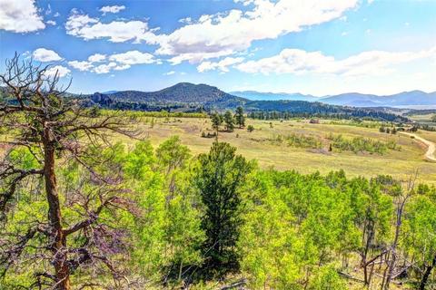 28 Loon Ln, Como, CO 80432 photo 9