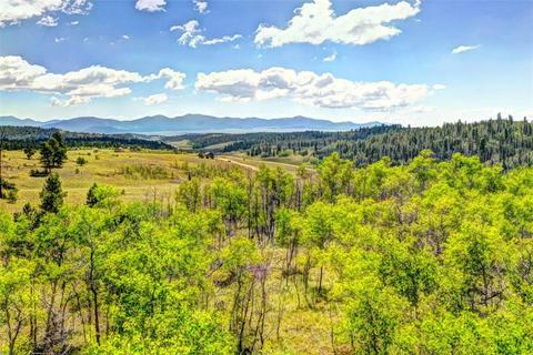 28 Loon Ln, Como, CO 80432 photo 4
