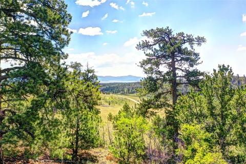28 Loon Ln, Como, CO 80432 photo 18