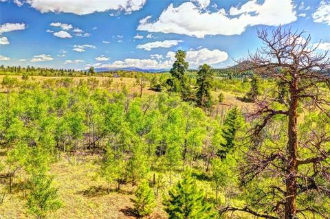 28 Loon Ln, Como, CO 80432 photo 8