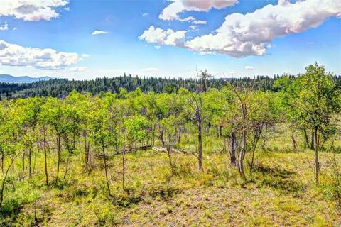 28 Loon Ln, Como, CO 80432 photo 1