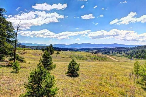 28 Loon Ln, Como, CO 80432 photo 15