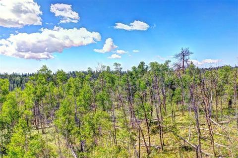 28 Loon Ln, Como, CO 80432 photo 16