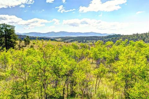 28 Loon Ln, Como, CO 80432 photo 3