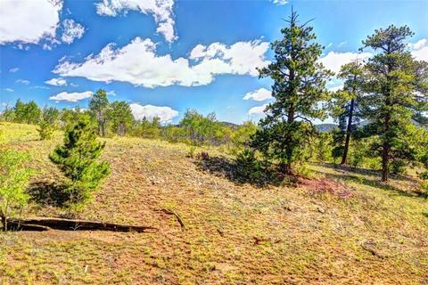 28 Loon Ln, Como, CO 80432 photo 14