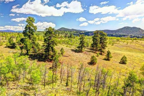 28 Loon Ln, Como, CO 80432 photo 11