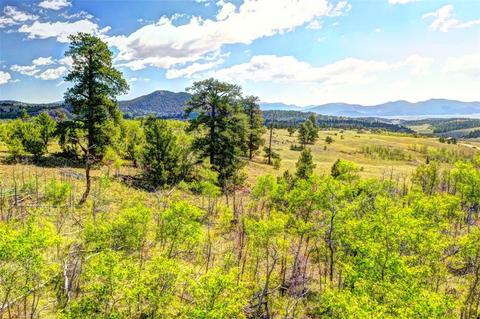 28 Loon Ln, Como, CO 80432 photo 5