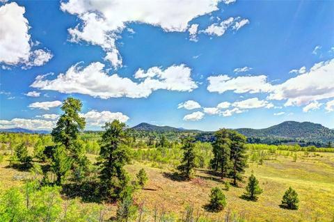 28 Loon Ln, Como, CO 80432 photo 13