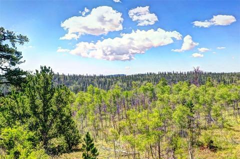 28 Loon Ln, Como, CO 80432 photo 19