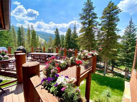 110 N Fork Rd, Keystone, CO 80435 photo 3