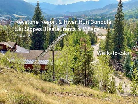 110 N Fork Rd, Keystone, CO 80435 photo 25