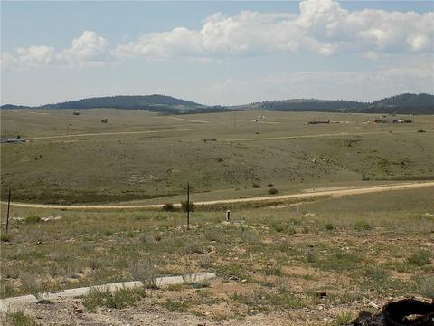486 Buffalo Ridge Rd, Como, CO 80432 photo 3