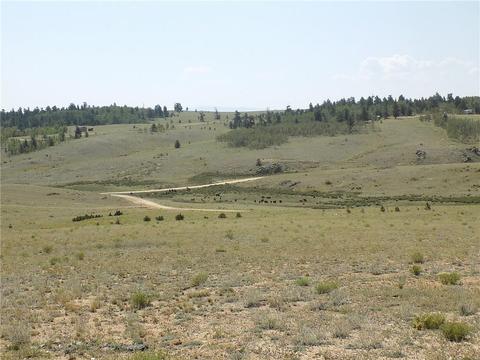 486 Buffalo Ridge Rd, Como, CO 80432 photo 4