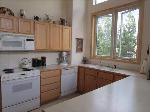 1836 Peregrine Ln, Silverthorne, CO 80498 photo 4