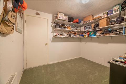 390 Cartier Ct, Dillon, CO 80435 photo 30