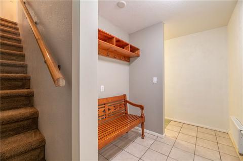 390 Cartier Ct, Dillon, CO 80435 photo 26